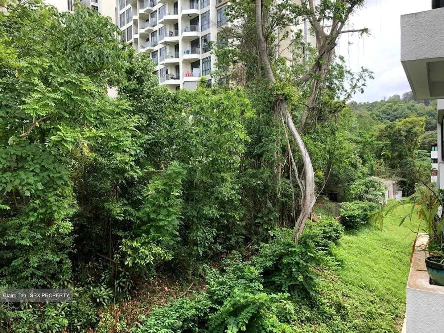 The Dairy Farm (D23), Condominium #623060291